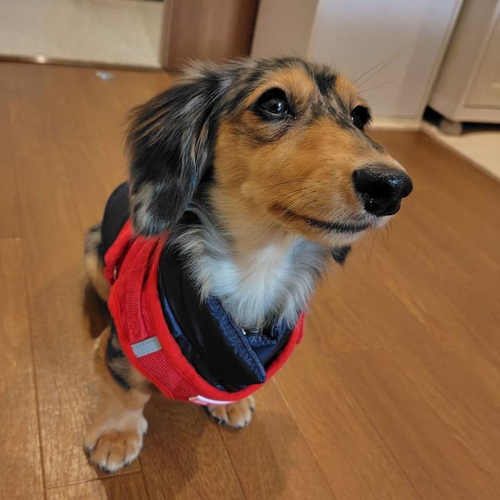 Ec0f0398 3871 4681 884e 33ff0726d6ac 1729400323374