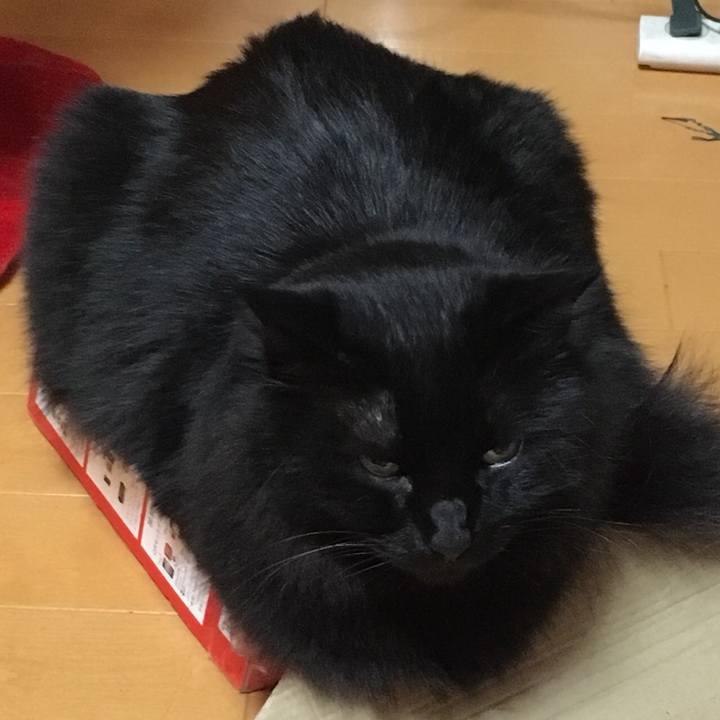 Ec0f400a 3581 47c7 991e 426c7743180b 1514208555137