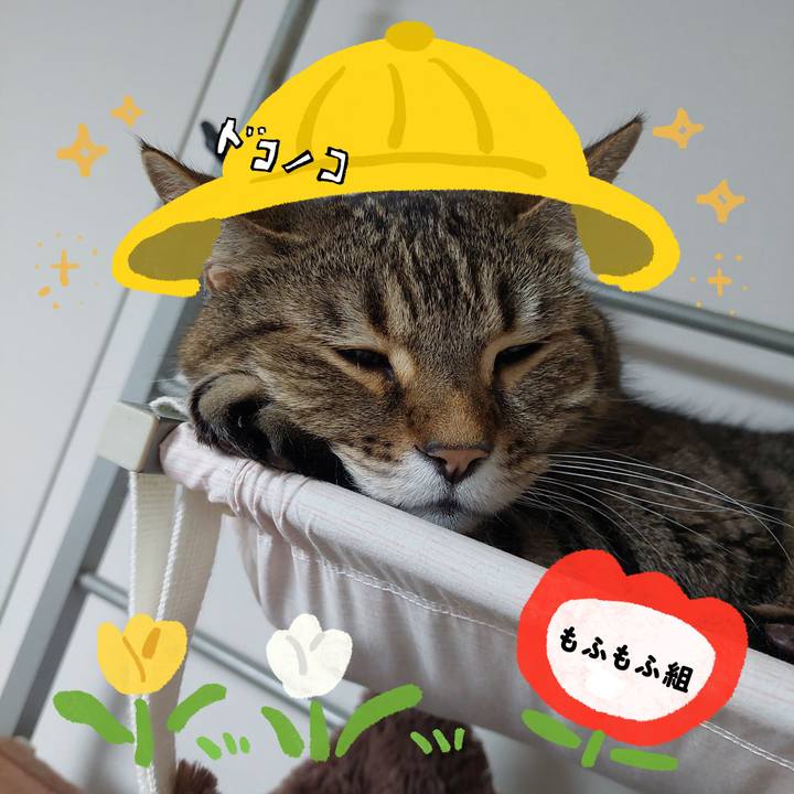 Ec0f7f40 26cd 4b78 af05 4b6d7e8482e2 1712612649416