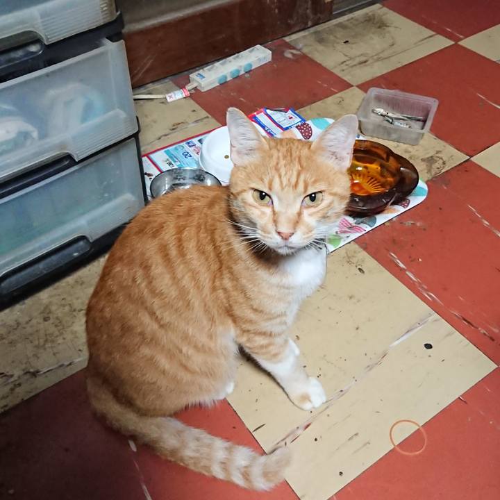 Ec0f8611 af71 4c26 a664 0d32933fb78e 1595273782980