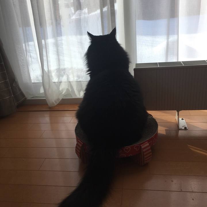 Ec0f957b e62b 4e60 baff bb67fe225878 1550201856040