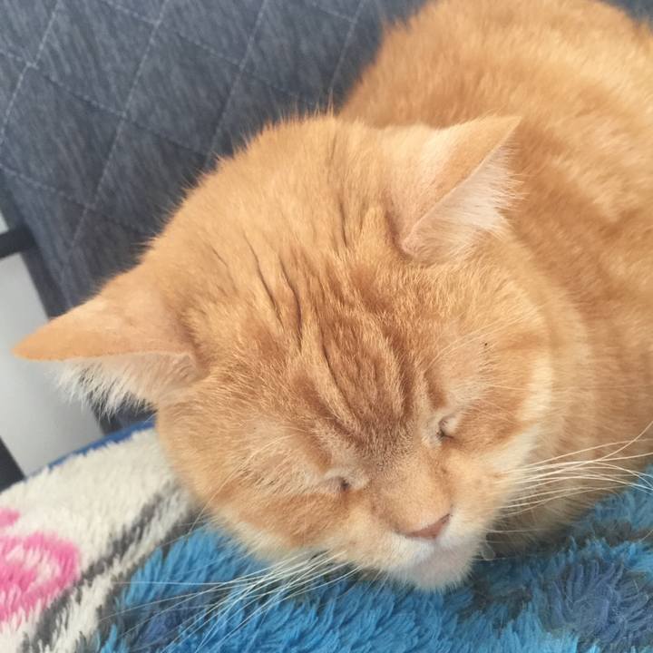 Ec0ff53c a8bd 4425 8014 109f864b2a27 1556591408753