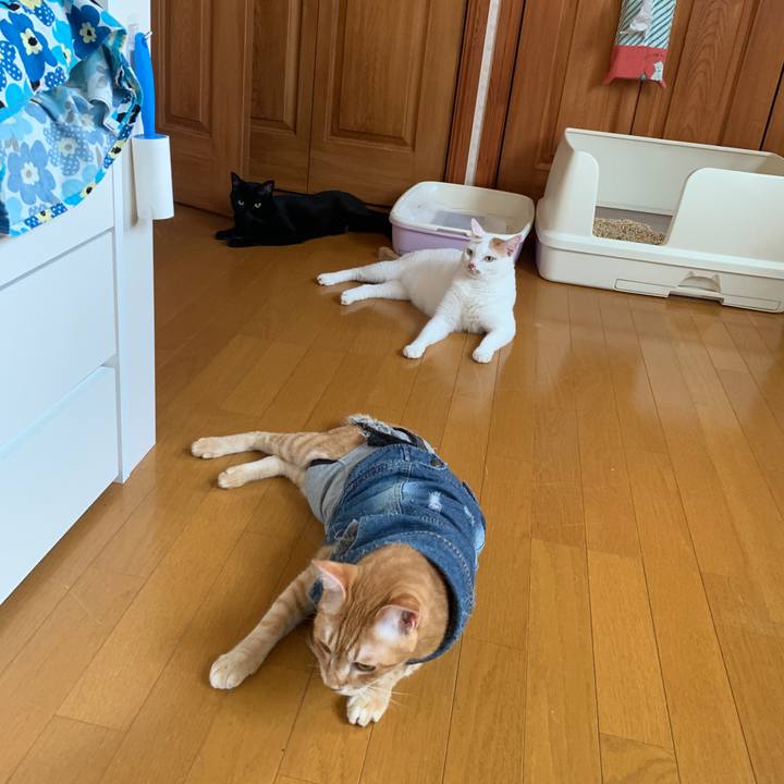 Ec0ffd02 45bc 4514 b347 c09804137610 1656276732501