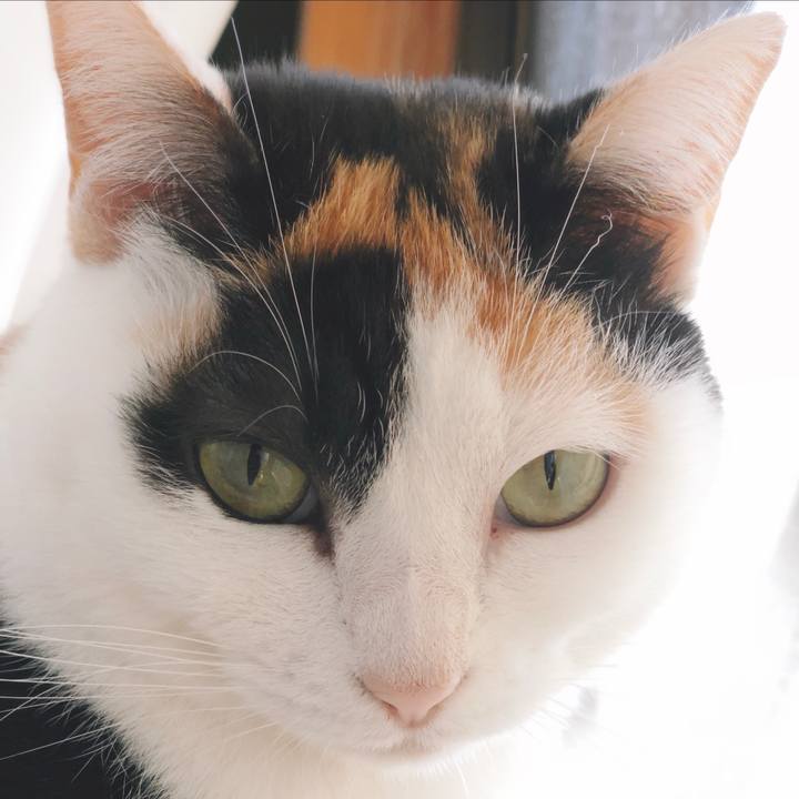 Ec101f35 1293 4d65 8fb0 b75c6be1615d 1555120605152