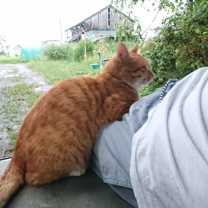 Ec106215 5eb3 4f9d bc0e 7310feeb6cfa 1599728470511