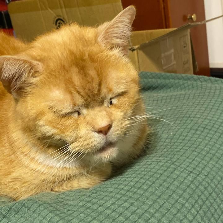 Ec10b293 cd3d 49f1 8118 1aacbf34c0cd 1618143568463