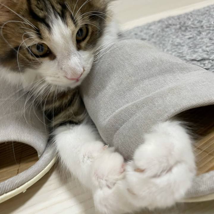 Ec113ce2 492b 47db abc1 b3a3ee595e0c 1632656042503