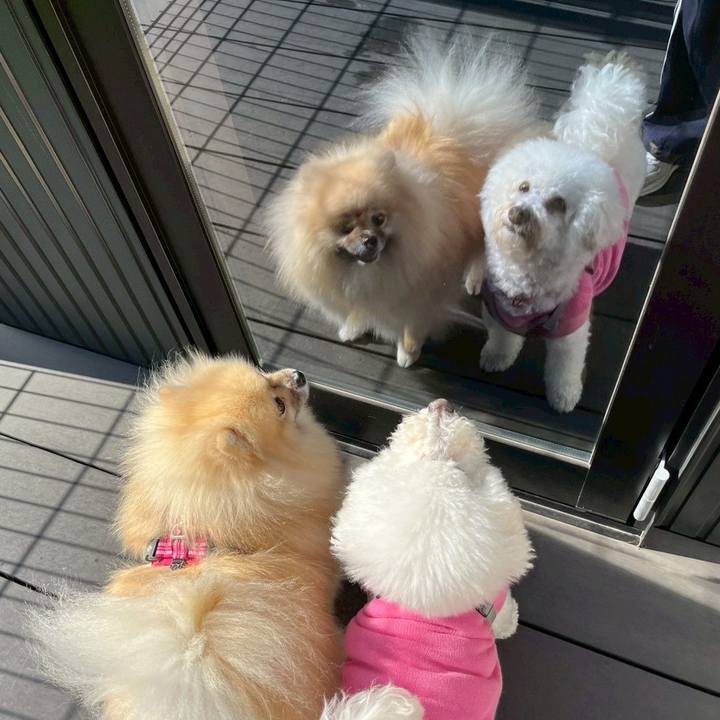 Ec11a395 f145 4245 82ff 3910b3f5619f 1764323226669