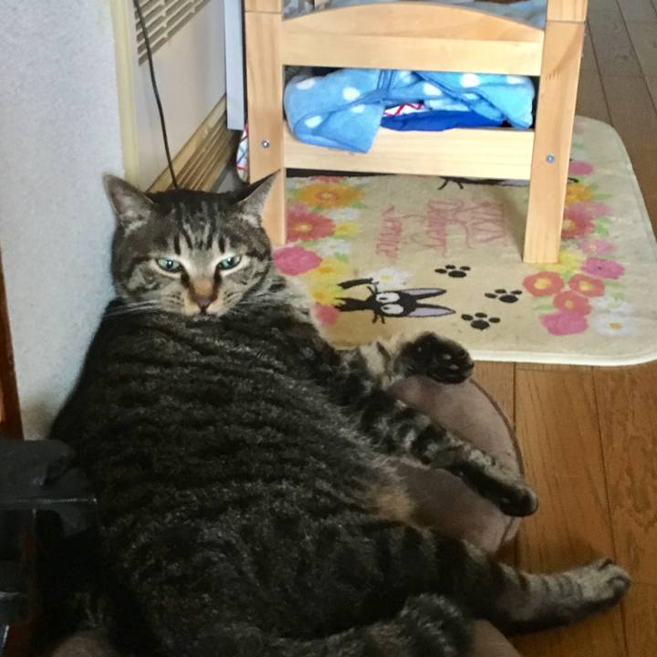 Ec11deba 8eaf 4190 8f93 ac0c328bc86a 1529722285366