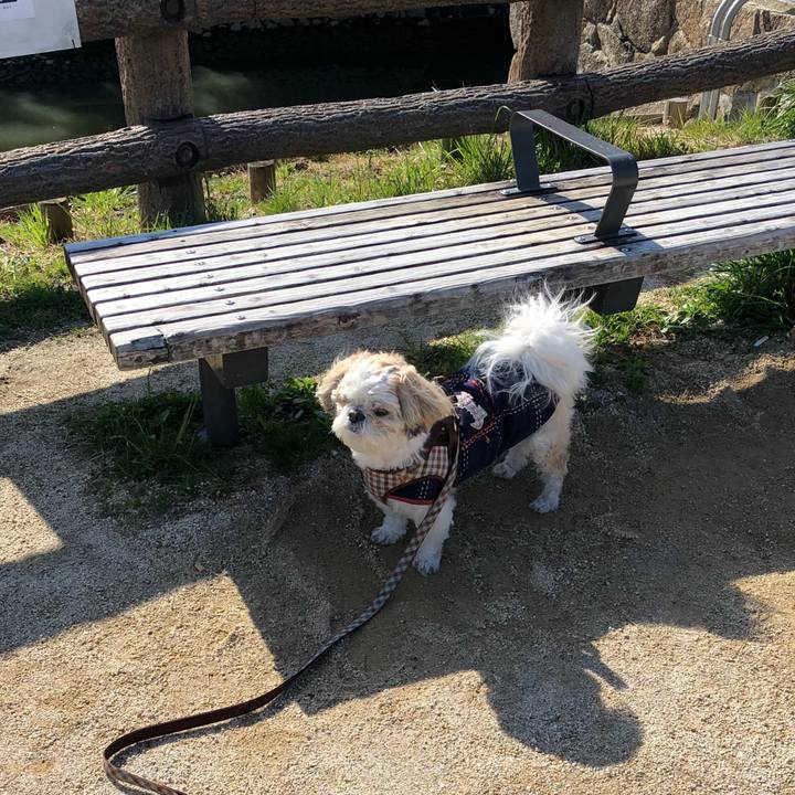 Ec125d95 178a 4e09 8ee6 ca0e18e90ad8 1521341169915