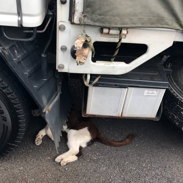 Ec126ab6 a611 4e87 ba19 cdc42d3b08d5 1565552687167