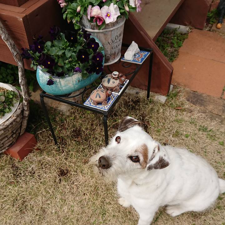 Ec12a620 e3d6 4473 b518 1db94ec2c110 1521645940150