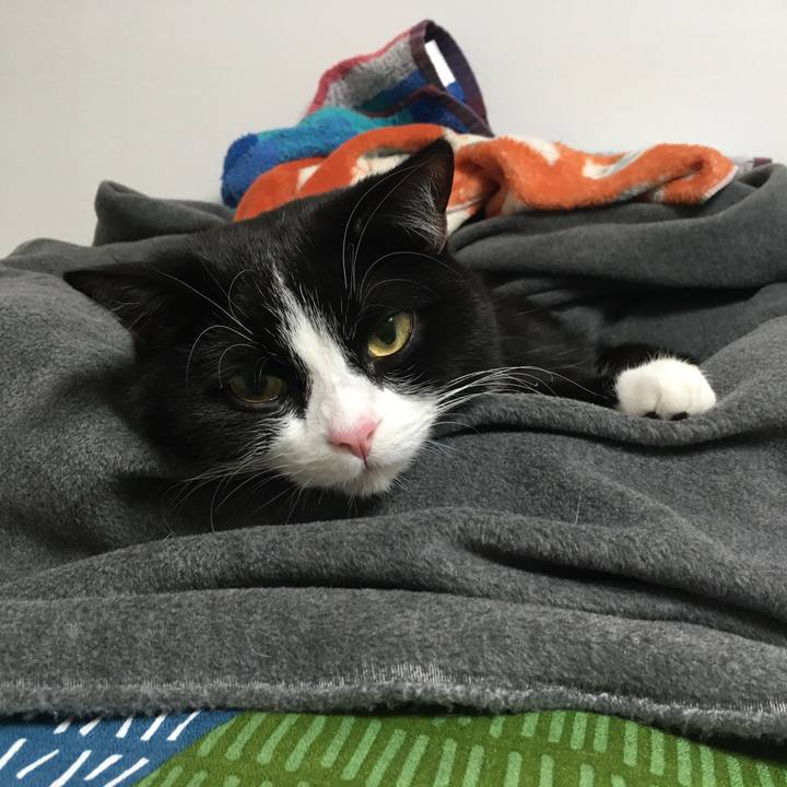 Ec12d080 73ef 41f4 9da7 3f48be12130f 1578232777367