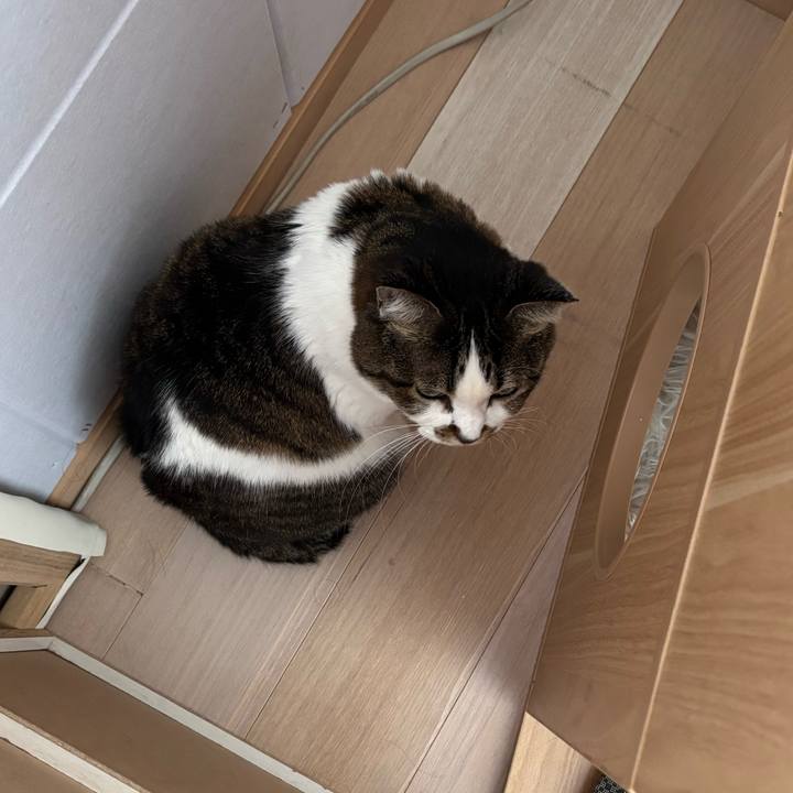 Ec133c88 1f5d 43d2 9087 45640471fb15 1762049270948