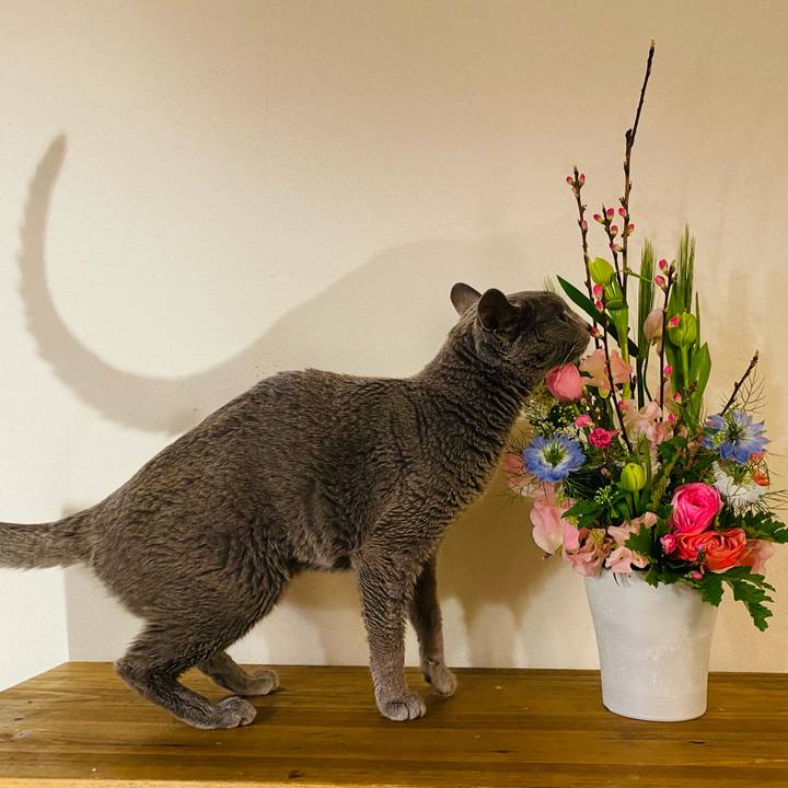 Ec1387f0 5a9d 4428 95b4 0304cfdbdd1a 1614414549736