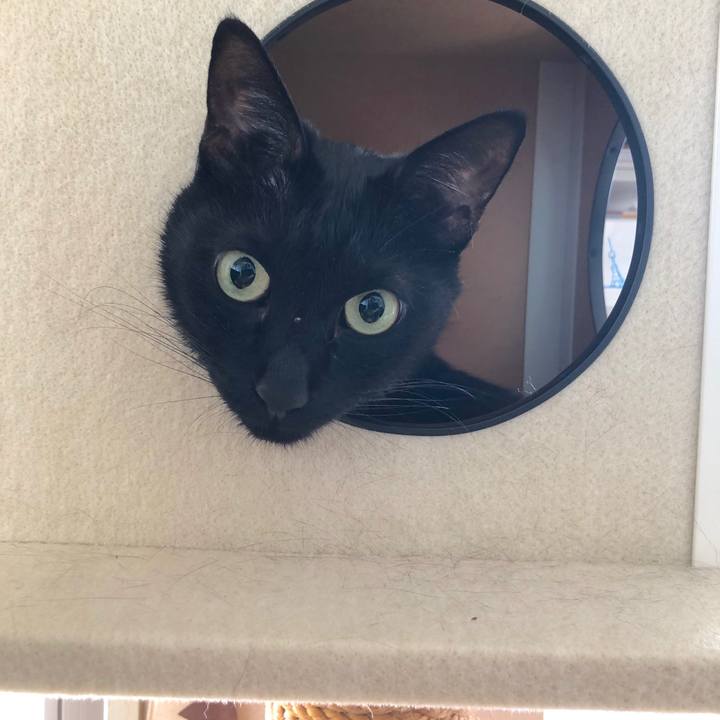 Ec13a078 610c 40bf a254 cefe011aa5ed 1569196090636