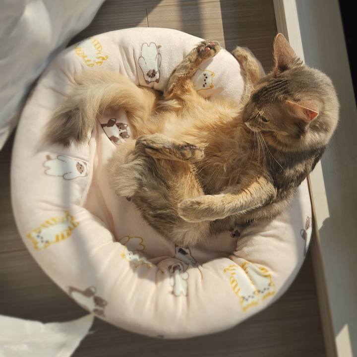 Ec13ab2d 1fc9 4c89 bd7a 01ec7e8f0eea 1775782927456