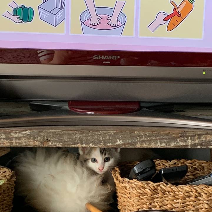 Ec13d9c5 abba 4e8e b8e8 7040d0c073f9 1590624720087