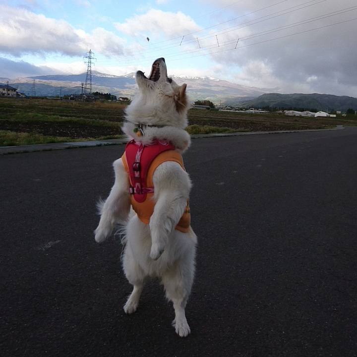 Ec1410f5 d7db 44d9 9731 ae79812c9a78 1524693407401