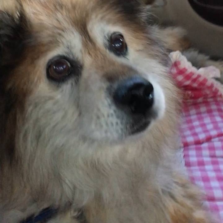 Ec142067 7240 4713 85ec 39420b31c3c2 1591500243474