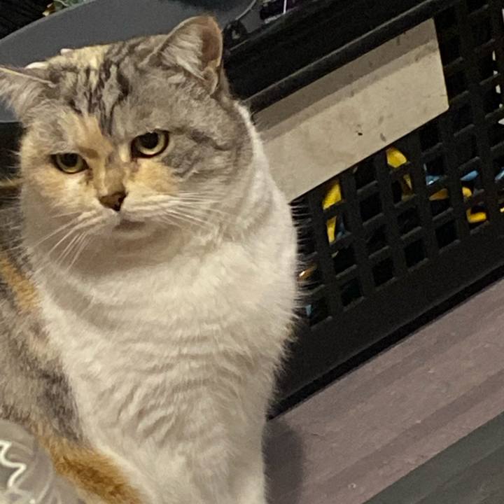 Ec1421e7 693e 410a 81b0 c95f1eaeea73 1675472052621