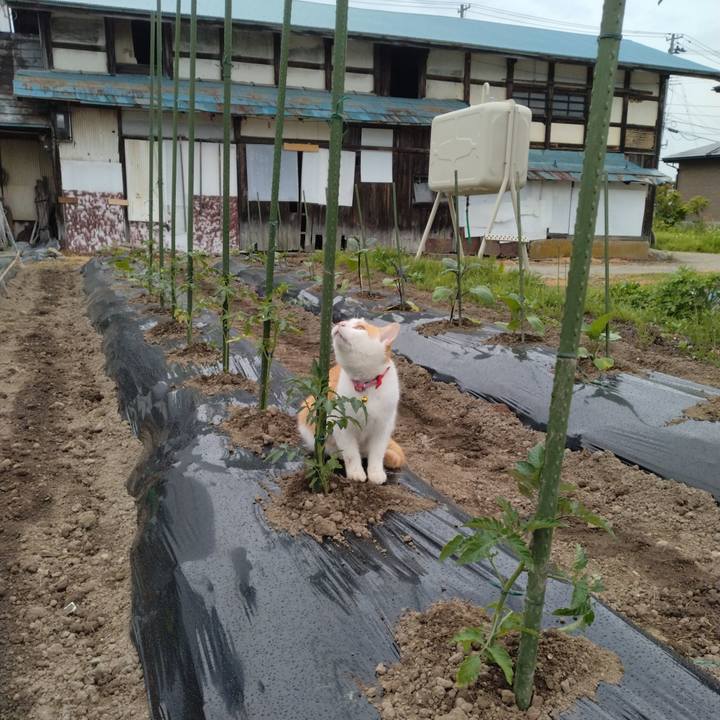 Ec147455 4c5d 4f96 8dd3 67132aac83ef 1747433907657