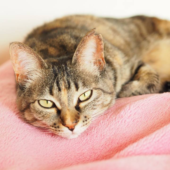 Ec14a861 3181 4ce9 9e6d 3240830a244b 1651321432647