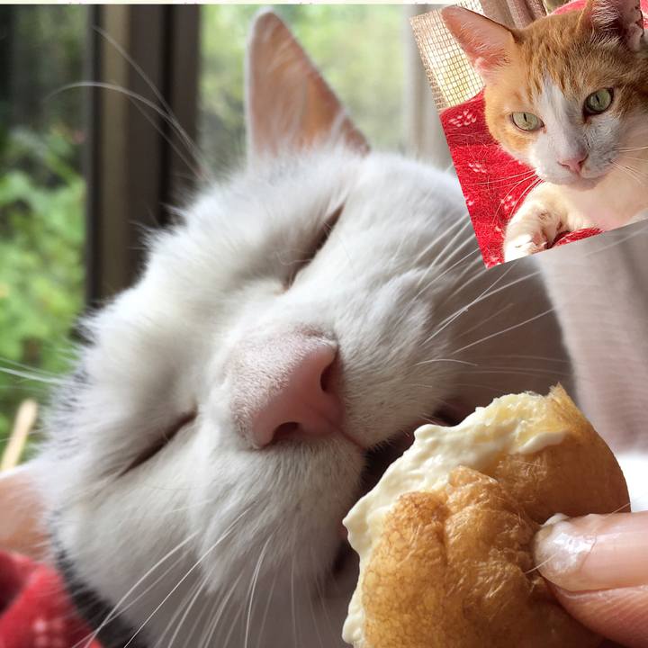 Ec14a930 a6d2 46c7 b2fe 0917b7d972f8 1597729452759