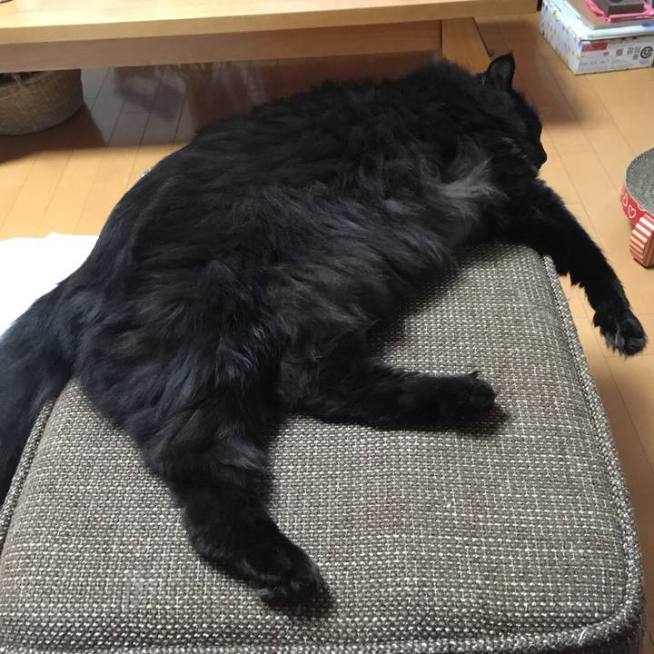 Ec14c4df 01b0 4ae6 ba2c 9f2404d3472f 1546257210669