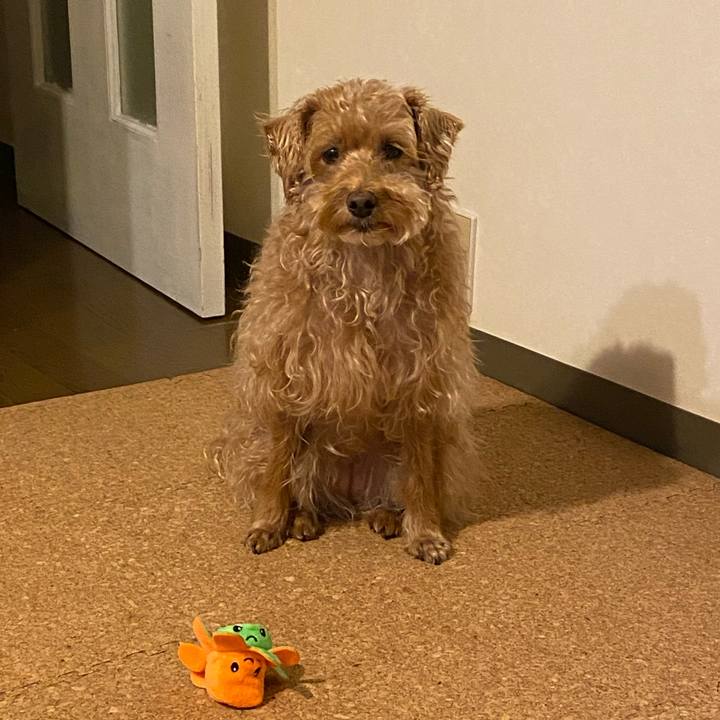 Ec14dde1 dec6 4ae8 9c03 4d673279a6e4 1666691819710