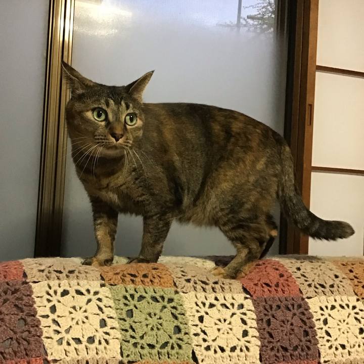 Ec14e5b2 0ea2 436c 83da bbe9242de0a1 1728037180877