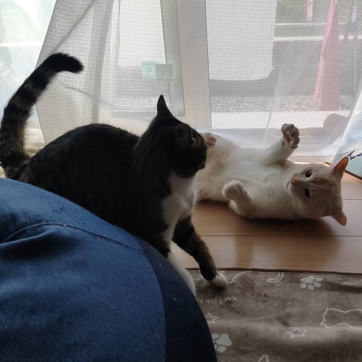 Ec14f186 8365 4000 ac93 eb128863771a 1651553445934