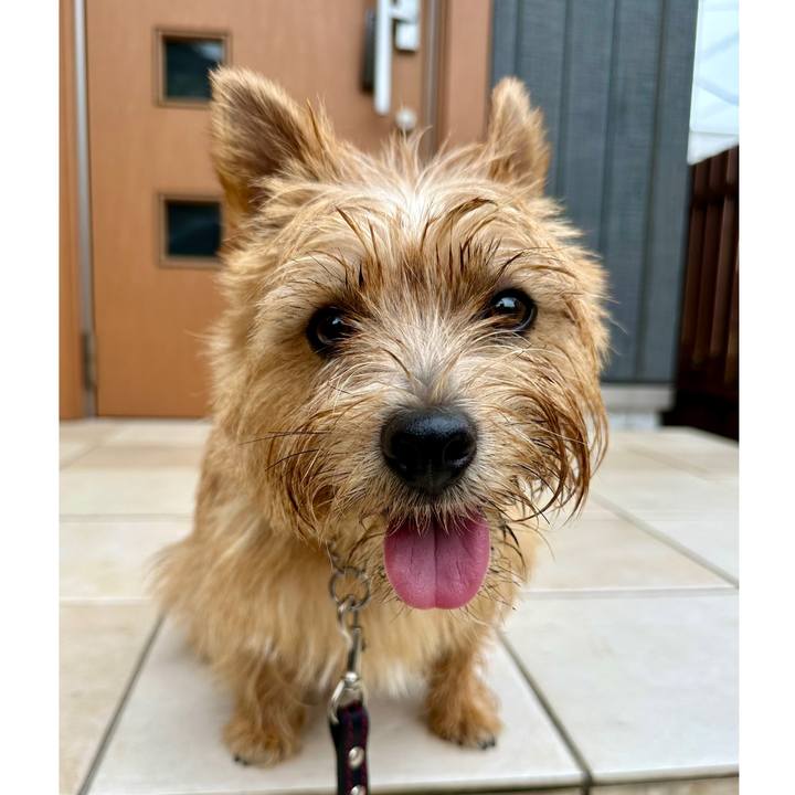 Ec15278a a626 4967 844d 93642f610411 1751550416599