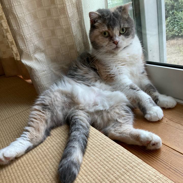 Ec157aaa 4b9c 4762 81e5 c6b079b07cf2 1600254186572