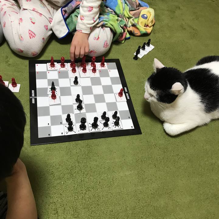 Ec15a1c0 b9bb 499f b21f b330f83973df 1516709158692