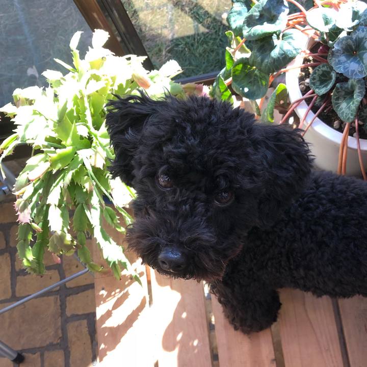 Ec15fac0 5f05 4680 953d 1a50bc57e6a1 1515019097936