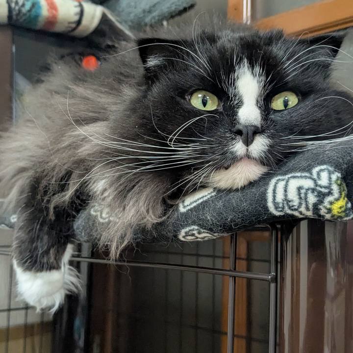 Ec160b04 778b 4f66 a1f6 166195e26632 1770466175631