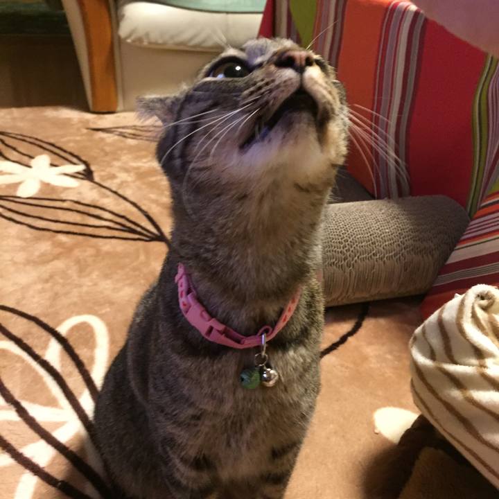 Ec1628fa d5e9 44e5 a867 e7234f412b0a 1516017560722