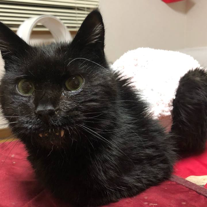 Ec162b65 4b13 40b7 8fc0 38abad136ccf 1646569200793