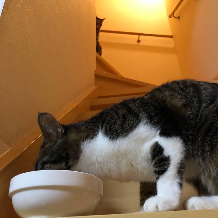 Ec162e53 bbd8 42df 9741 d6152ea1074d 1522502435498