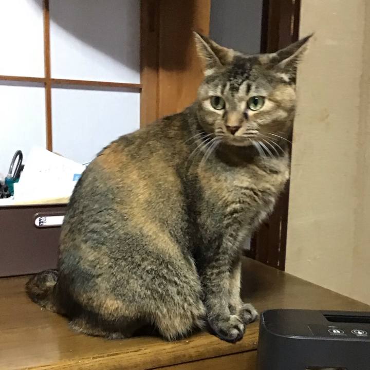 Ec16c3bd 4dd5 459d b5e9 f1d667b78912 1763019466977