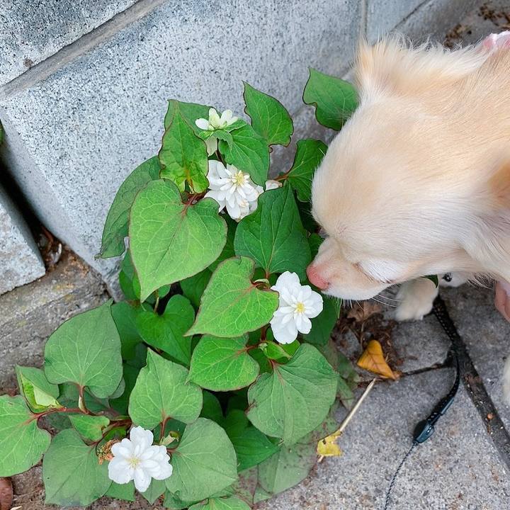 Ec16cf2f b800 484a 89d1 bec3ef891b03 1622196048572