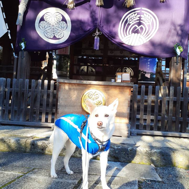 Ec16d5f5 0336 4f3c b6a3 780c72d31702 1672544234003