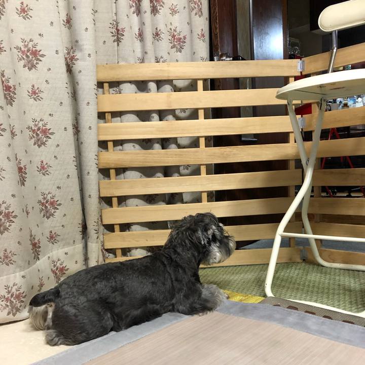 Ec16e800 30ba 4b29 a97e 5f04c3ed5425 1630838220396