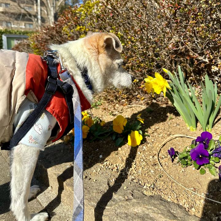 Ec16eb35 df15 4d2f b8ab 0b6f8a6910bc 1768730710584