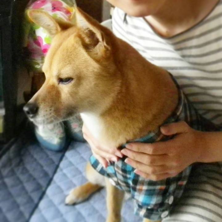 Ec170840 32df 4251 b6d2 5d51433ec04d 1560425444438