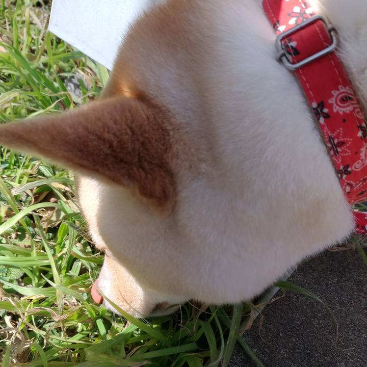 Ec173164 8c3a 4a7c b749 61121a1d0893 1518588348714