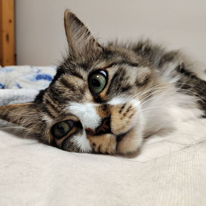 Ec173adb 3926 4784 be92 556840a970aa 1759539027323