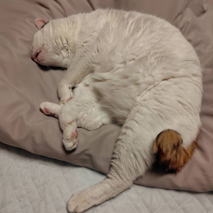 Ec175e29 8ca2 4ced 8b84 3aaadd7e47ed 1726658918541