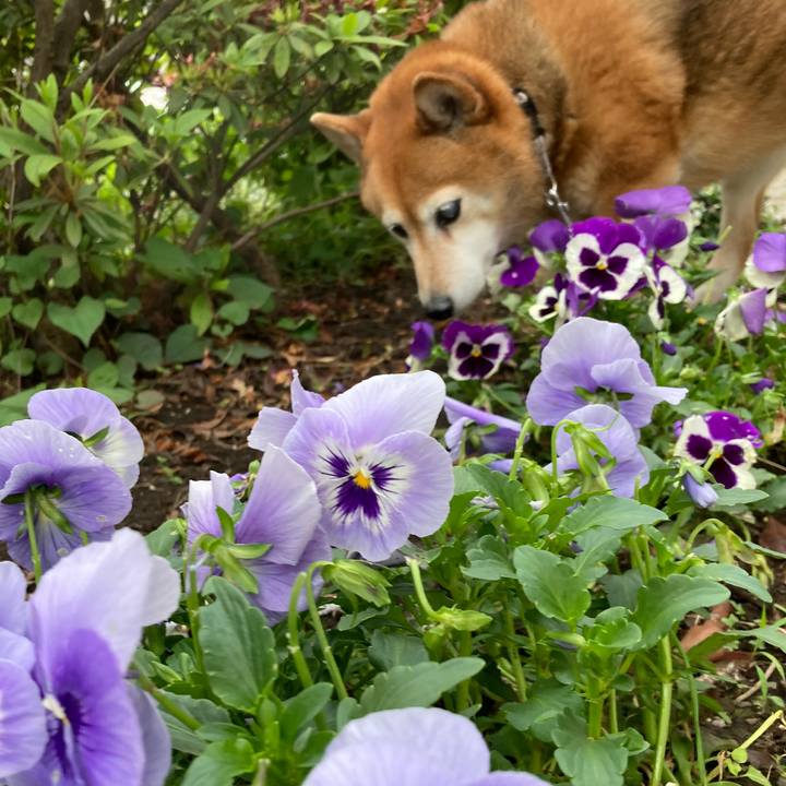 Ec178e76 6874 4956 8d59 4f130d3f5eaa 1652618735995